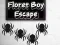 Lojë Floret Boy Escape në internet