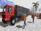 Lojë Asian offroad cargo truck driver në internet