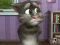 Lojë Talking Tom Cat 2 në internet