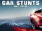 Lojë Car Stunts Sky Tour në internet