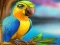 Lojë Little Parrot Escape në internet