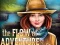 Lojë The Flow of Adventure në internet