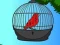Lojë Red Bird Rescue në internet