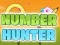 Lojë Number Hunter në internet