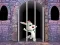 Lojë Victory Rabbit Escape në internet