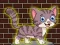 Lojë Loveable Small Cat Escape në internet