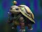 Lojë Isolated Turtle Escape në internet