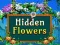 Lojë Hidden Flowers në internet