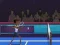 Lojë Badminton Brawl në internet