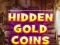 Lojë Hidden Gold Coins në internet