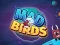 Lojë Mad Birds në internet