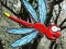 Lojë Escape From Dragonfly Forest në internet