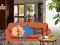 Lojë Wakeup The Grandpa në internet