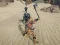 Lojë The Scythian Warrior në internet