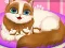 Lojë Cute Kitty Pregnant në internet