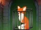Lojë Fox in the Forgotten Ruins në internet