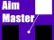 Lojë Aim Master në internet
