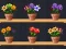 Lojë Good Flower Master në internet