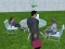 Lojë Millionaire Simulator 2024 në internet