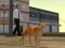 Lojë Cat City Simulator në internet