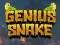 Lojë Genius Snake në internet