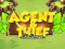 Lojë Agent & Thief Challenge në internet