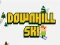 Lojë Downhill Ski në internet