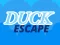 Lojë Duck Escape në internet