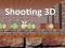 Lojë Shooting 3D në internet