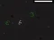 Lojë Bad Timing në internet