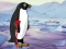 Lojë Heal the Wounded Penguin në internet