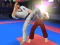 Lojë Karate Fighter në internet