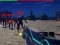 Lojë Zombie Survivor në internet