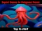 Lojë Squid Game In Dalgona Panic në internet