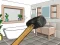 Lojë Smash The Room To Pieces në internet