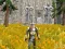 Lojë Axe Of The Ancients Dwarven Fury në internet