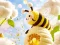 Lojë Find The Differences: Little Bee's Adventure në internet
