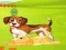 Lojë Bunny Key Quest në internet