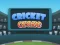 Lojë Cricket Craze në internet