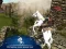 Lojë Ertugrul Gazi Horse Sim në internet