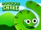 Lojë Frenzy Snake në internet