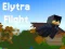 Lojë Elytra Flight në internet