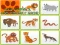 Lojë Wild Animals Kids Memory game në internet