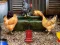 Lojë Poultry Farm Easter Escape në internet