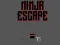 Lojë Ninja escape në internet