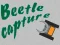 Lojë Beetle Capture në internet