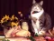Lojë Funny Cats Puzzle në internet