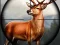 Lojë Animal Safari Hunter 2020 në internet