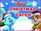 Lojë Nick Jr. Christmas Catch në internet