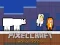 Lojë PixelCraft Animal School në internet